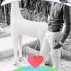 user9911077269832