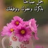 user4816152508003