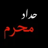 tabark.habib