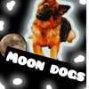 .moon_dog.1