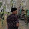 fizz13mdn