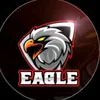 eagleking804
