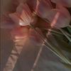 jennet_0555