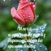 sohibnazar.mirzae