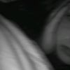 random_sh1txxx13