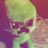 llowoll_02