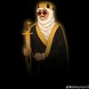 abdiraaman6
