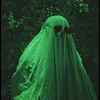 sl_hofa