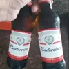 vanderlei.rodrigu714