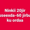 isaamin35