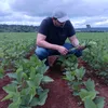 henrique.corbari