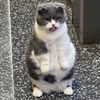 nala24999