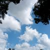 adonn06