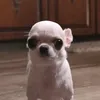 userjcccn26hfu