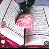 user4320918229326
