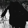batly.nat