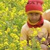 md.nahid.khan6745