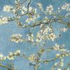 almondblossom89