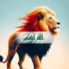user87416319432082