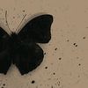 niraaa190