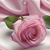 alwatqa.q99