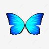 แอ่นแอ๊น🦋