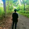 petanimudah12