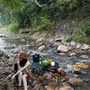 cobethichtien0