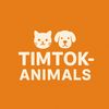 TIMTOK-Animals