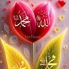 user221269065