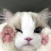 lourrys_p