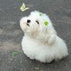 haruu_7777