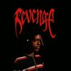 17.revenge.otf
