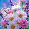 user1404188754257