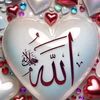 mtanveer067