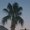 levi_boss223