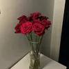 user485546jugfx