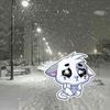 winterboy200