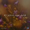 user20256190986082