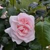 fatimaelbechir3