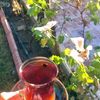 aya.abdalla343