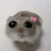 imjsagrlinthewrld