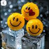user4449484926246