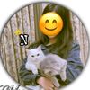 malik.302166