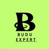 buduexpert01