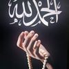 nacer.hamami3