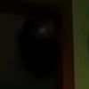 skellyton.gaming.123321
