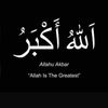 muhammed.njie616