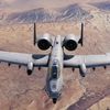 mrwarthog_tiktok
