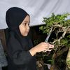 imam.wahyudin43